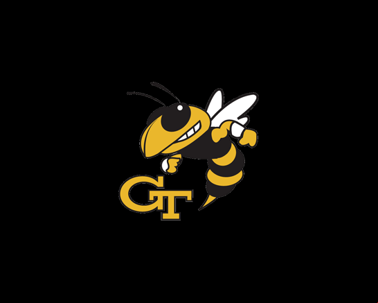 Georgia Tech Yellow Jackets