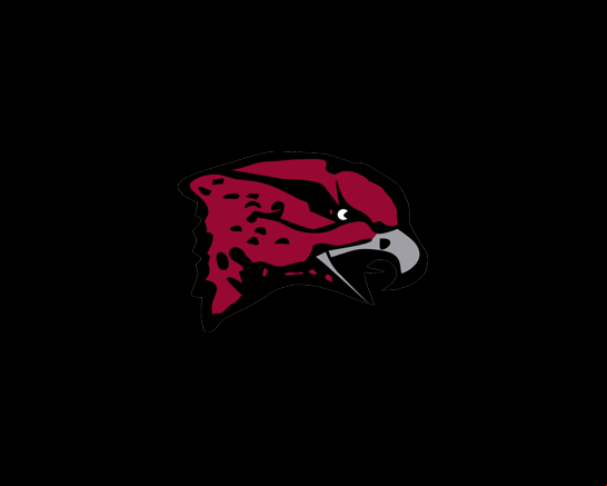 Maryland Eastern Shore Hawks