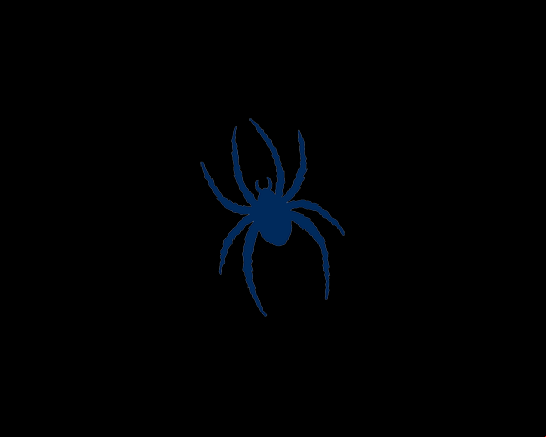 Richmond Spiders