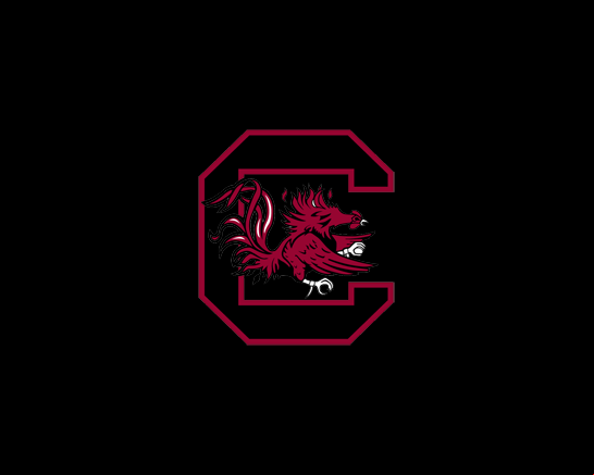 South Carolina Gamecocks