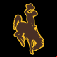 Wyoming Cowboys